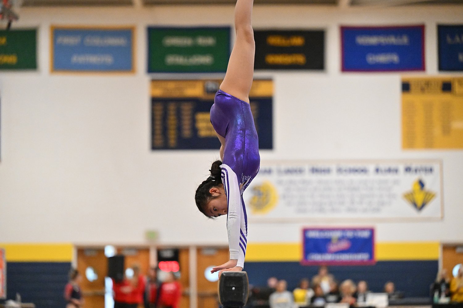 VHSL Events 2025 VHSL State Gymnastics Championship nextlevel.photos